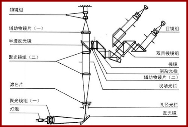 電子顯微鏡原理