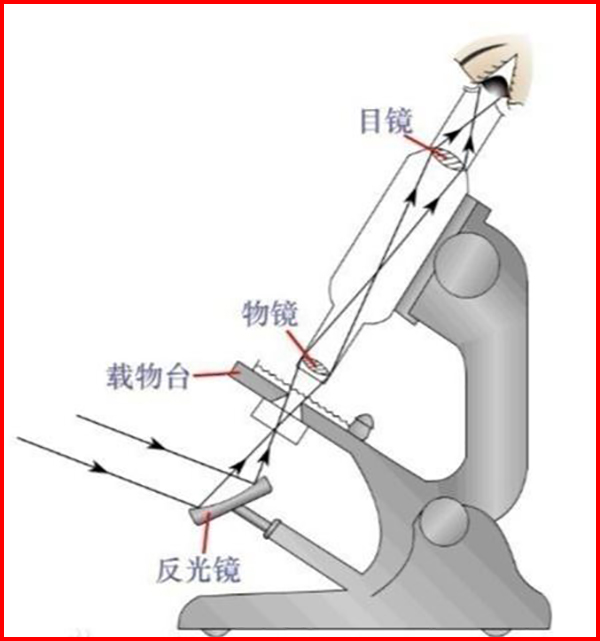 熱臺(tái)顯微鏡