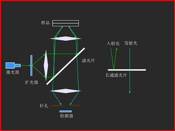 激光共聚焦顯微鏡